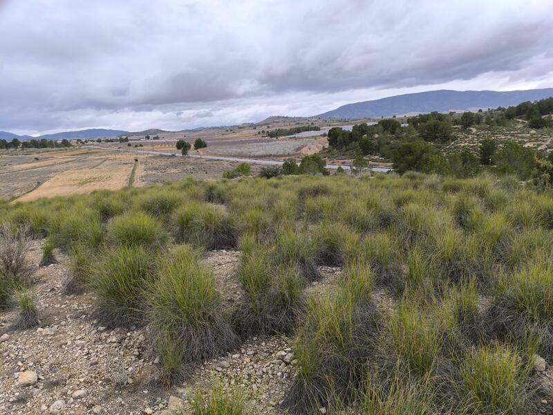 Terrenos en venta