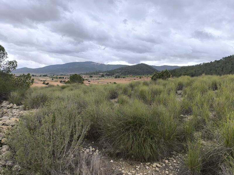 Terrenos en venta