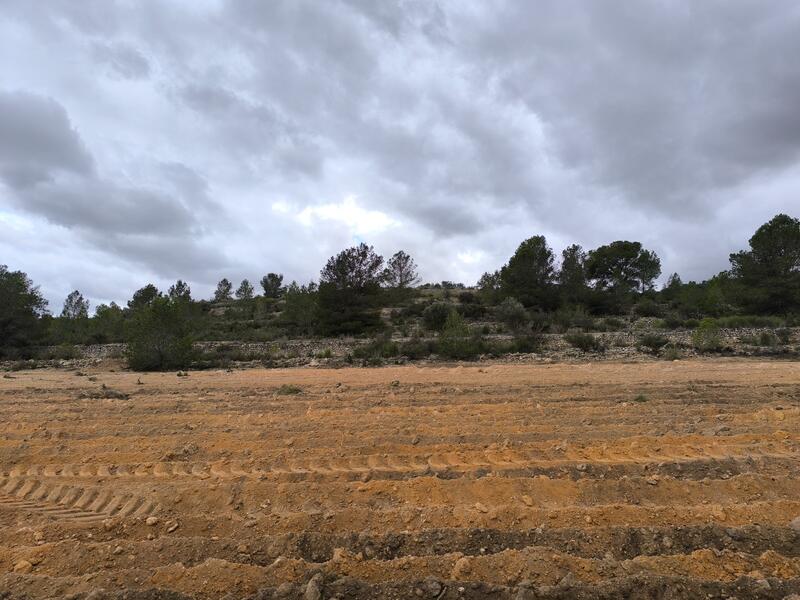 Terrenos en venta