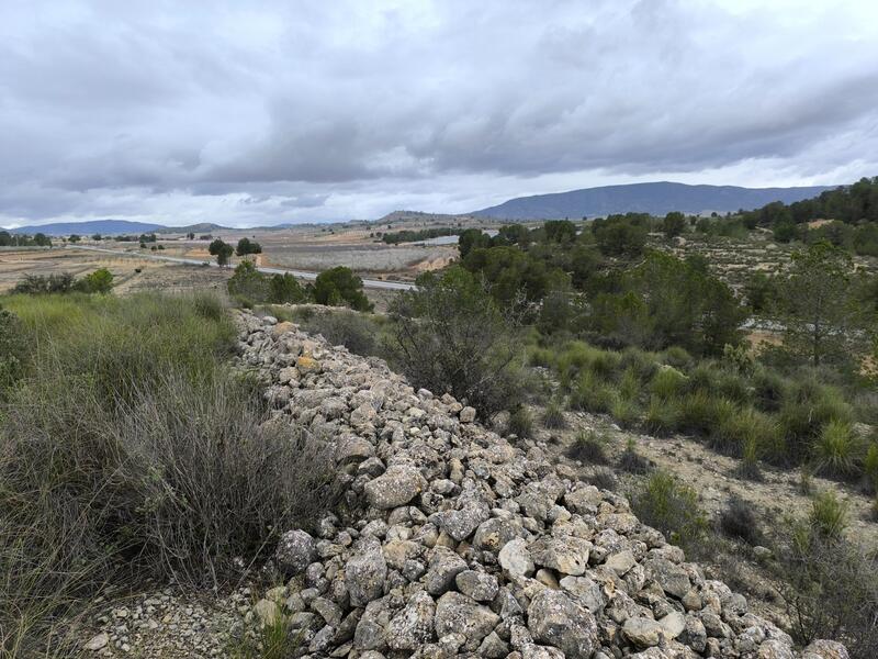 Terrenos en venta