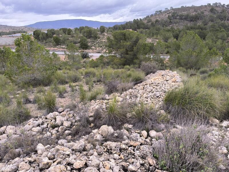 Terrenos en venta