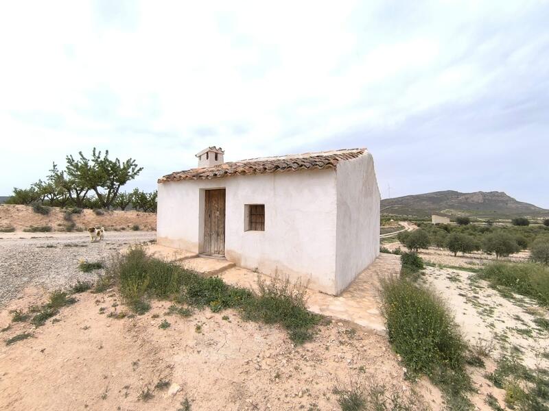 Country House for sale in Jumilla, Murcia