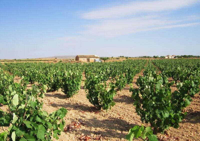 Terrain à vendre dans Yecla, Murcia