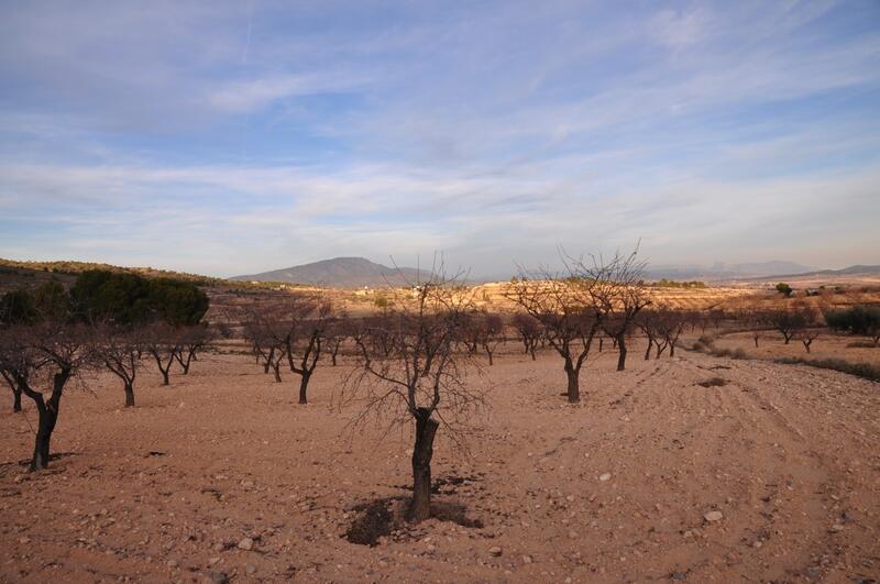 Land til salgs i Raspay, Murcia
