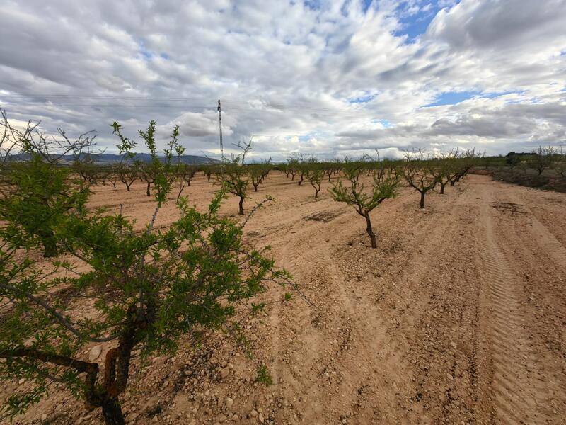 Land for sale
