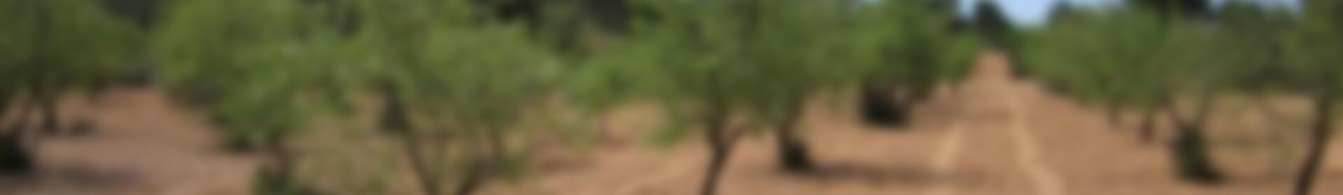 Terrenos en venta