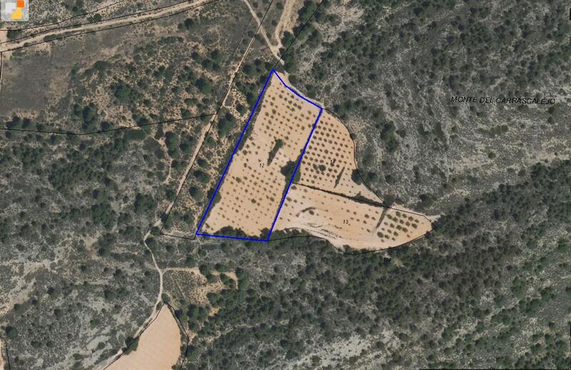 Terrenos en venta