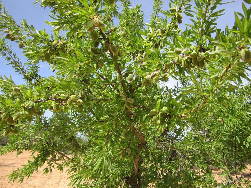Terrenos en venta