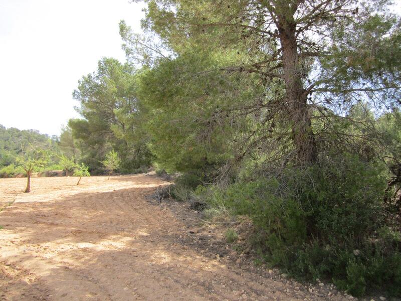 Terrenos en venta