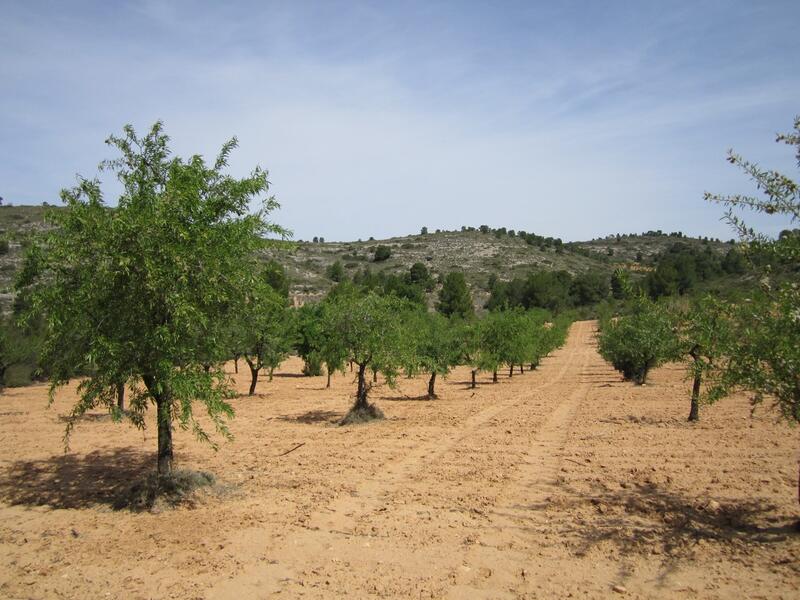 Terrenos en venta