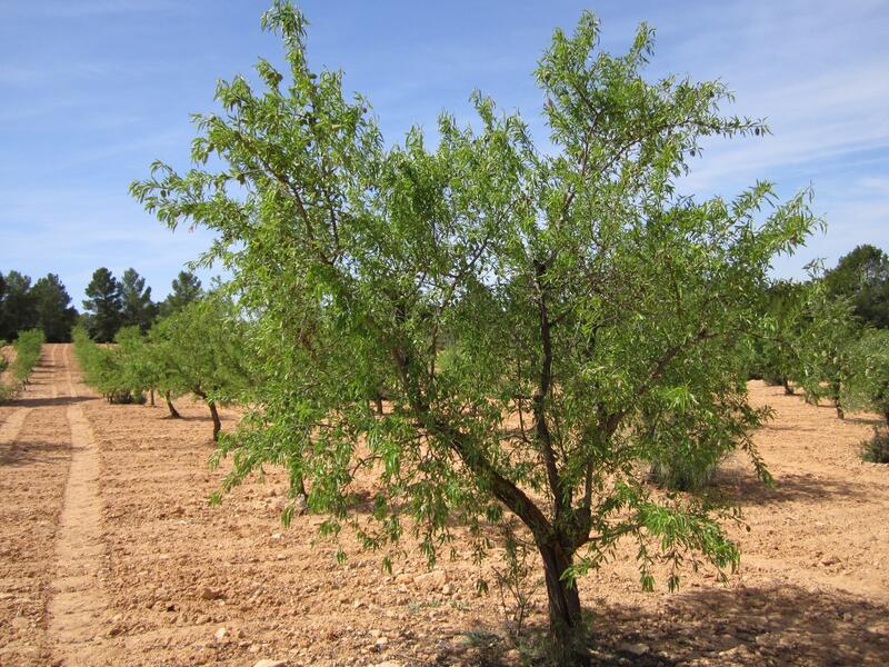 Terrenos en venta