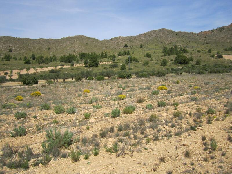 Land Te koop in Yecla, Murcia