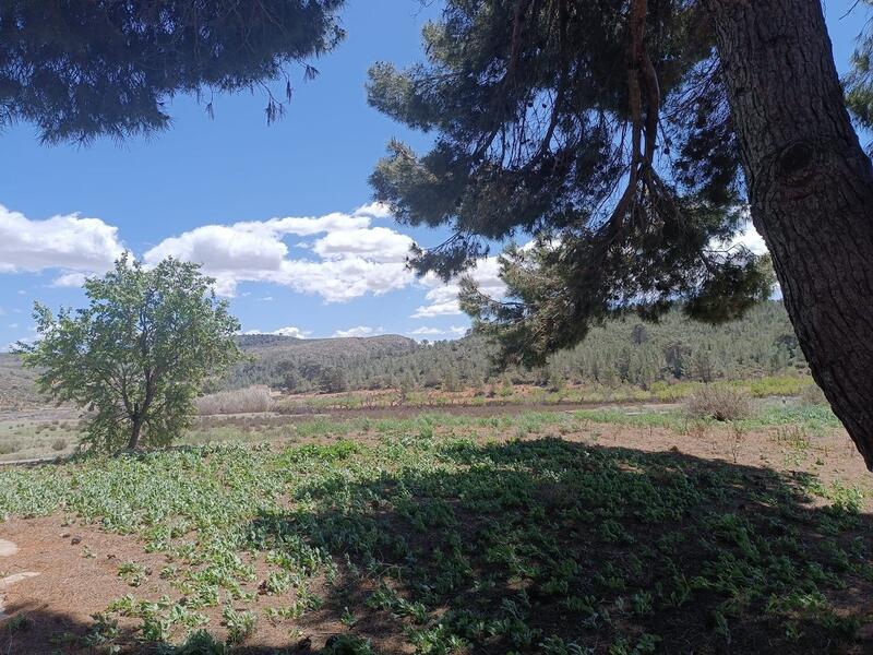 6 Cuarto Casa de Campo en venta