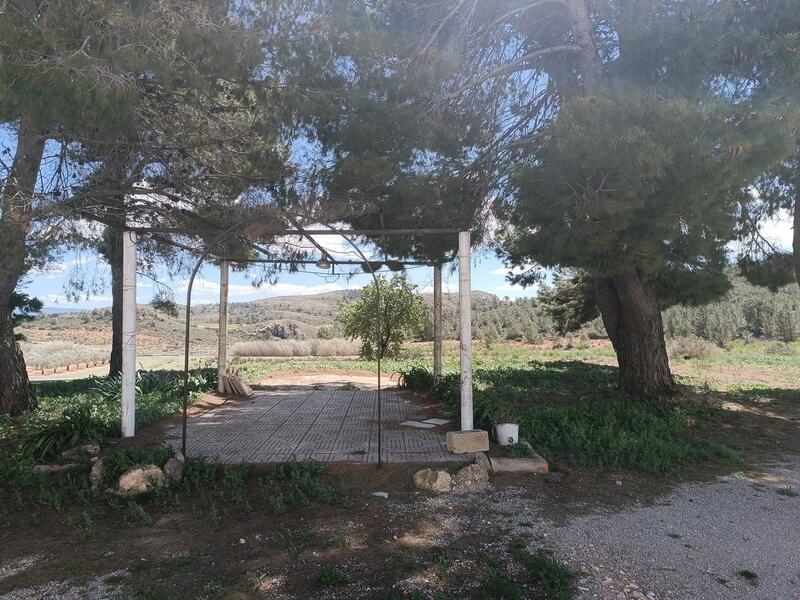 6 Cuarto Casa de Campo en venta