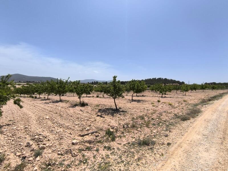 Land for sale