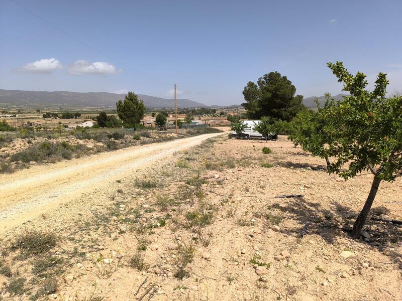 Land for sale
