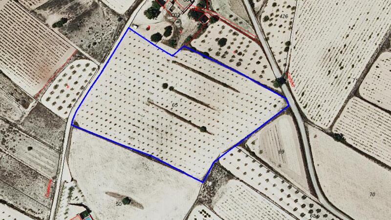 Land for sale