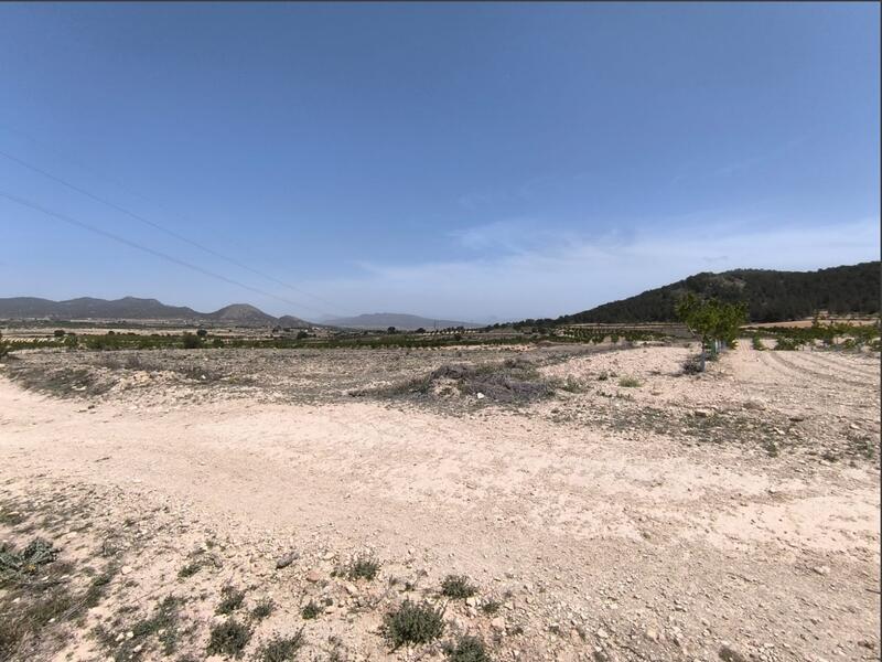 Land for sale in Monóvar, Alicante