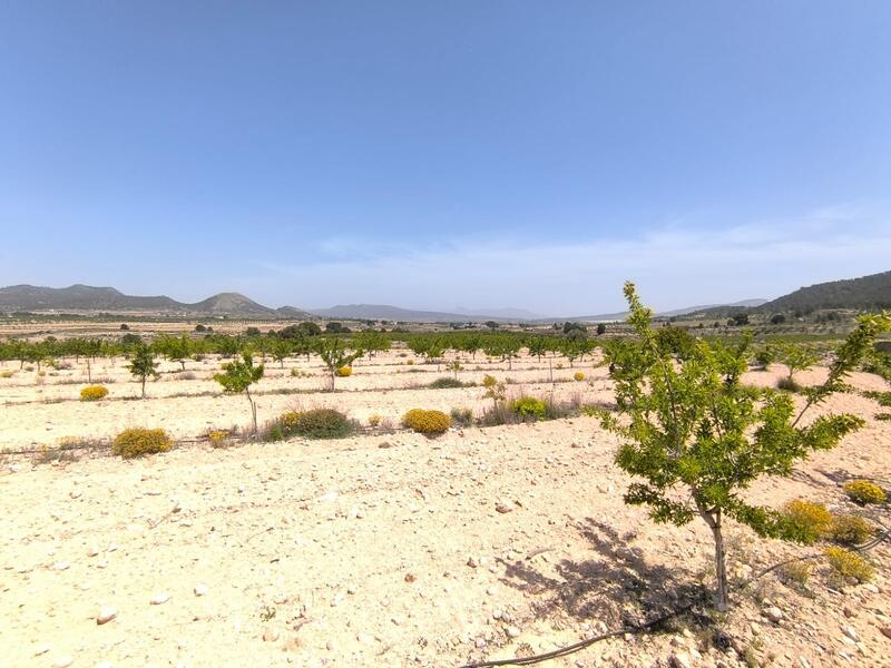 Landa till salu i Monóvar, Alicante