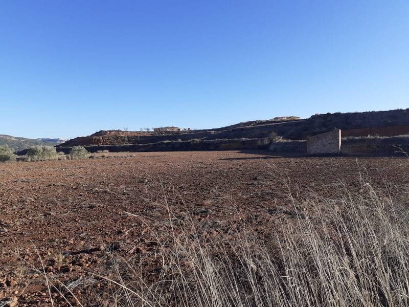 Land for sale in Pinoso, Alicante