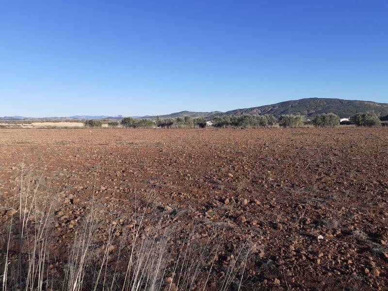 Land for sale