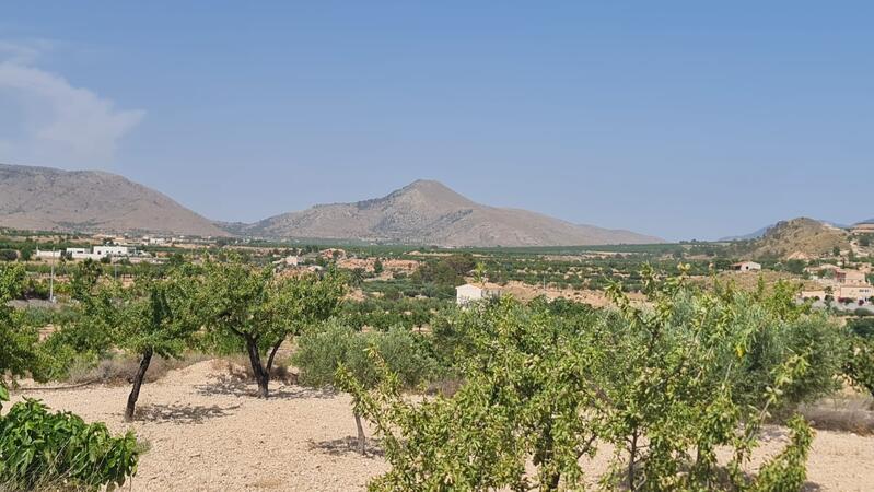 земля продается в Abanilla, Murcia