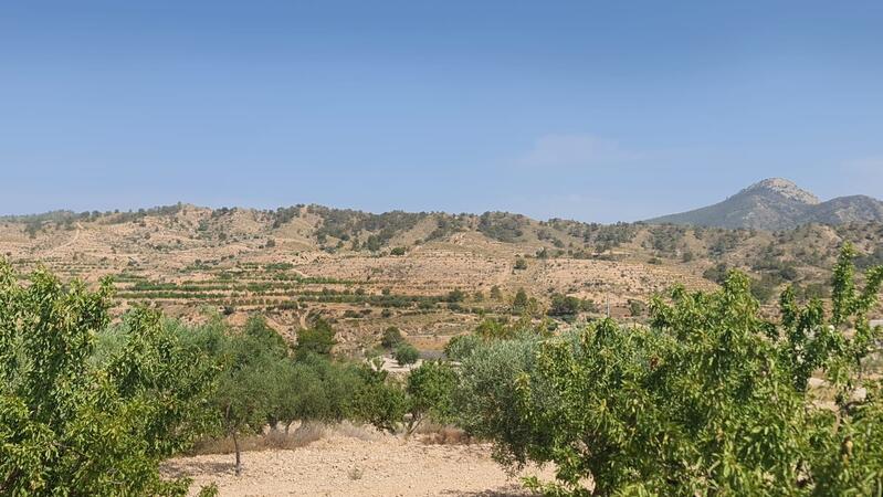 земля продается в Abanilla, Murcia