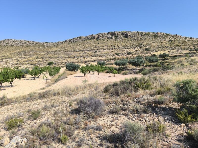 Land for sale
