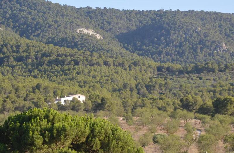 Lantställe till salu i Villena, Alicante