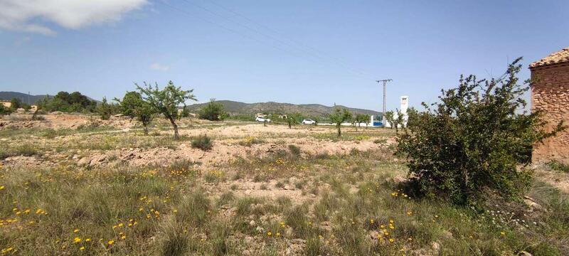 Country House for sale