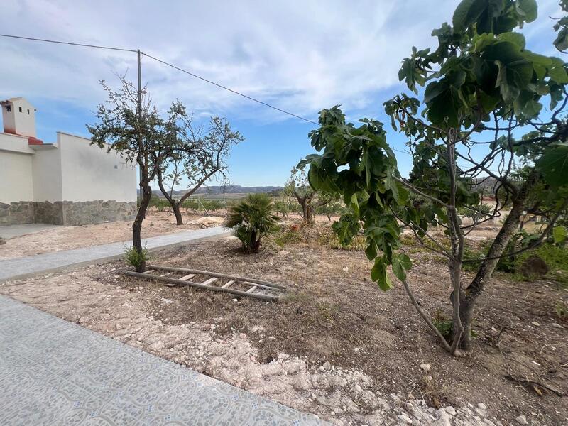 4 Cuarto Villa en venta