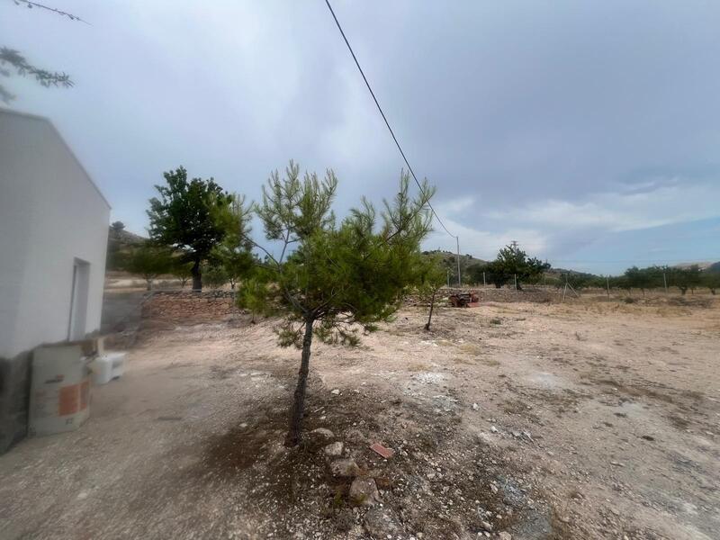 4 Cuarto Villa en venta