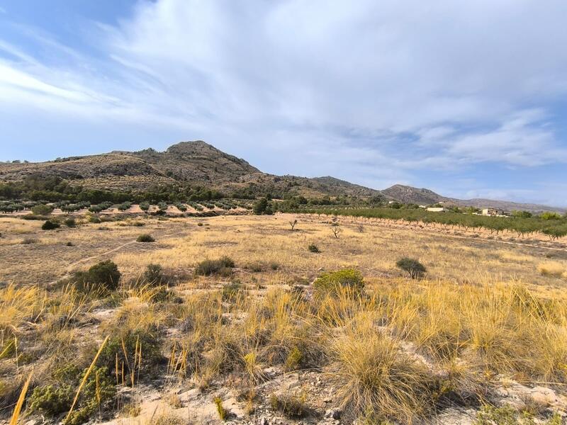 Terrenos en venta