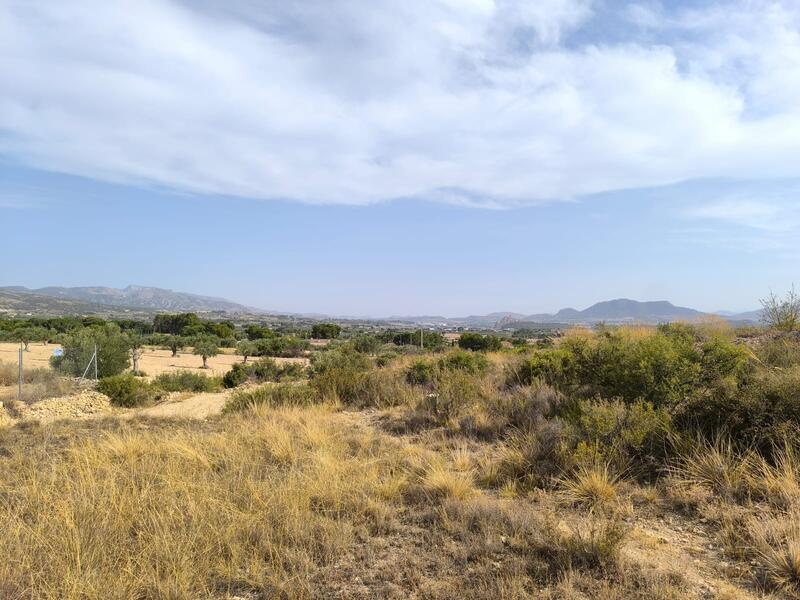 Terrenos en venta