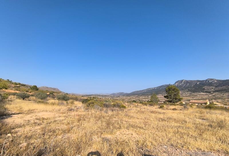 Terrenos en venta