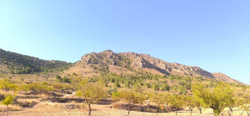 Terrenos en venta