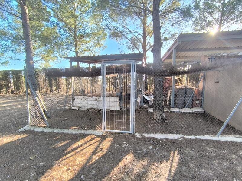 5 Cuarto Villa en venta