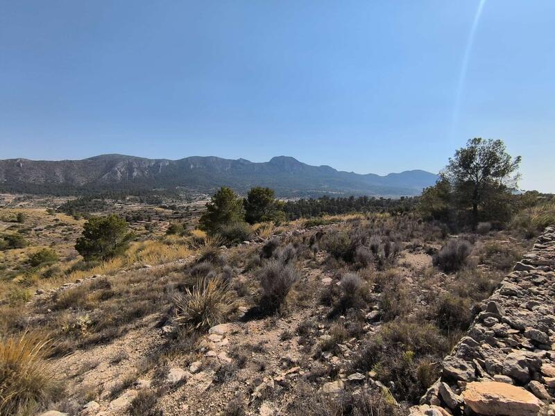 Land Te koop in La Romana, Alicante