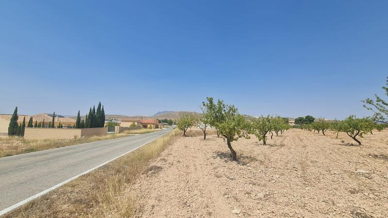Land for sale