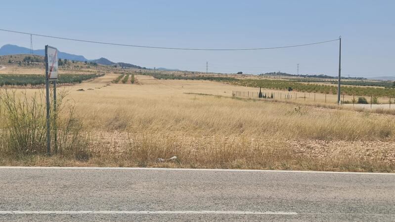 Land for sale