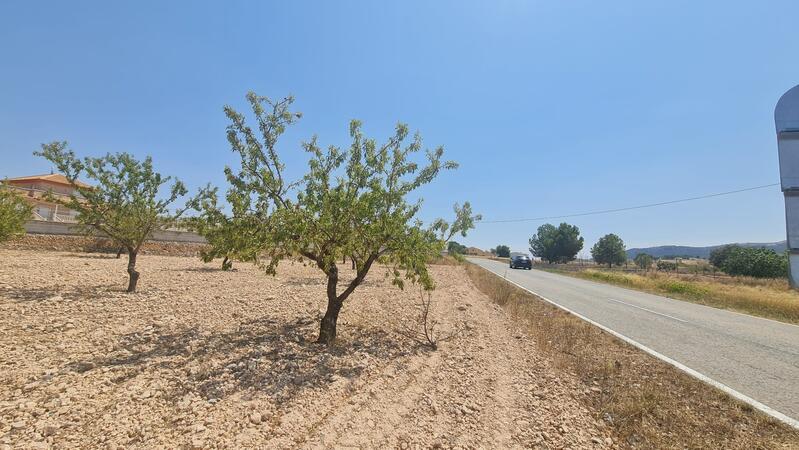 Land for sale