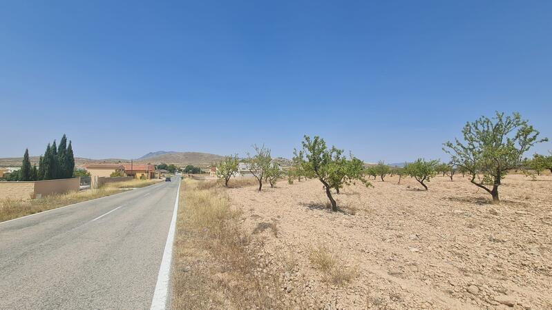 Land for sale