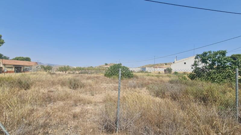 земля продается в Cañada del Trigo, Alicante