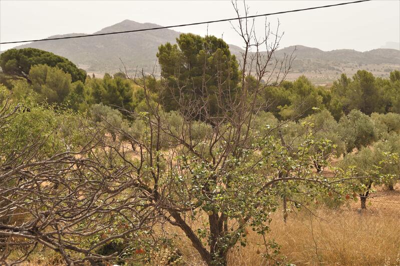 7 bedroom Country House for sale
