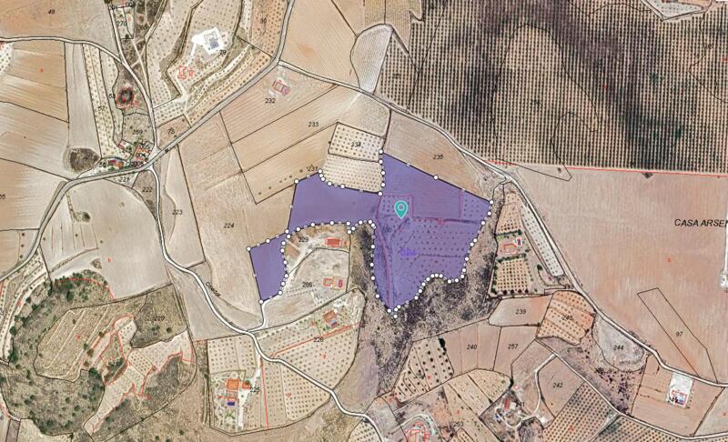 Land Te koop in Pinoso, Alicante