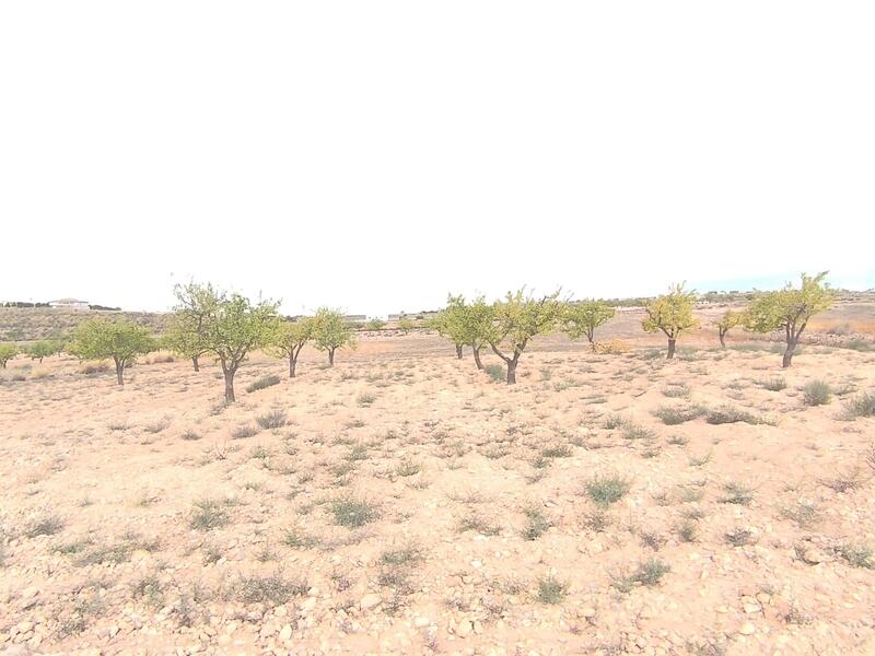 Land for sale