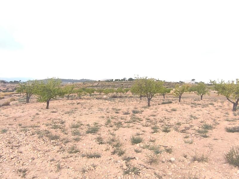 Land for sale