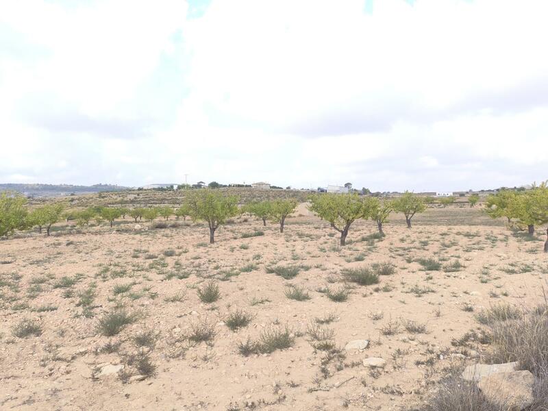 Land for sale