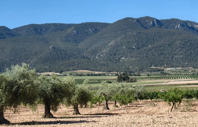 2 bedroom Country House for sale