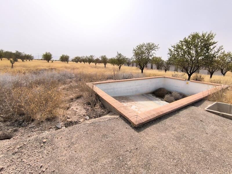 Terrenos en venta en Yecla, Murcia